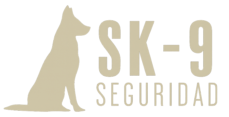 sk9seguridad.cl